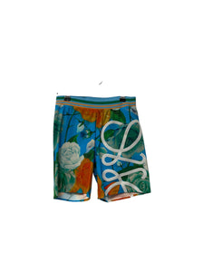 Loewe swimming shorts