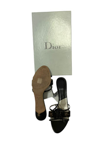 Dior kitten heals
